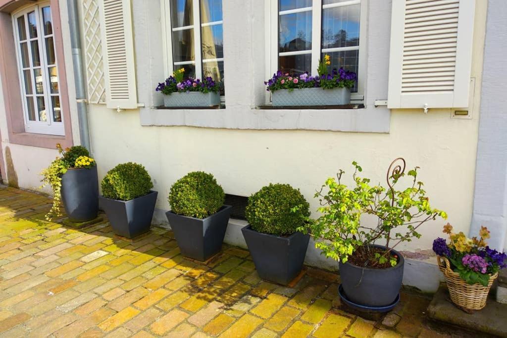 Pearl Studio Apart - King Bed - Netflix - Projector - Fast Wi-Fi Trier Bagian luar foto